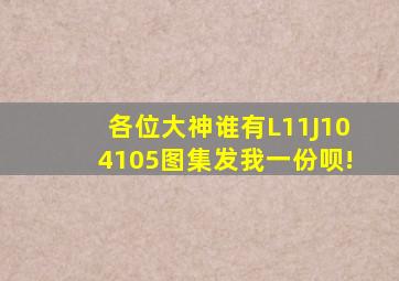 各位大神,谁有L11J104105图集,发我一份呗!