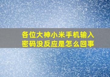 各位大神小米手机输入密码没反应是怎么回事(