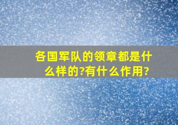 各国军队的领章都是什么样的?有什么作用?