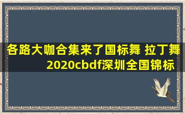 各路大咖合集来了国标舞 拉丁舞 2020cbdf深圳全国锦标赛 拉丁舞比赛