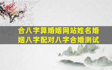 合八字算婚姻网站,姓名婚姻八字配对,八字合婚测试