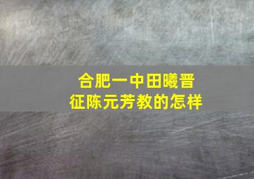 合肥一中田曦,晋征,陈元芳教的怎样