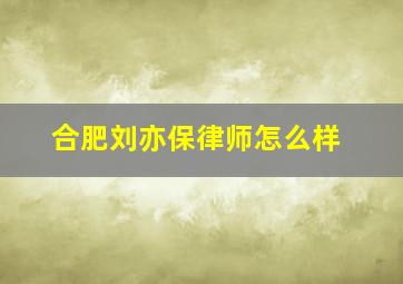 合肥刘亦保律师怎么样