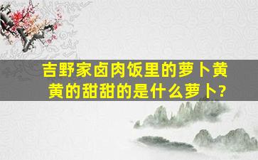 吉野家卤肉饭里的萝卜,黄黄的甜甜的是什么萝卜?