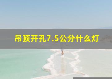 吊顶开孔7.5公分什么灯