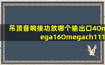 吊顶音响接功放哪个输出口,4Ω16Ω、ch1(110v)、ch2(110v)?