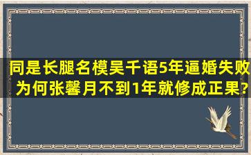 同是长腿名模,吴千语5年逼婚失败,为何张馨月不到1年就修成正果?