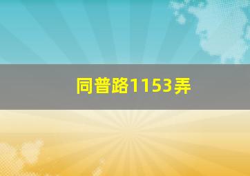 同普路1153弄