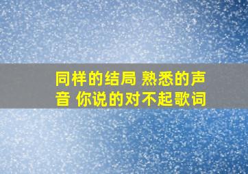 同样的结局 熟悉的声音 你说的对不起歌词