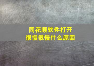 同花顺软件打开很慢很慢什么原因