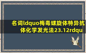 名词“梅毒螺旋体特异抗体化学发光法23.12”是什么意思?