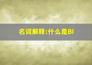 名词解释:什么是BI