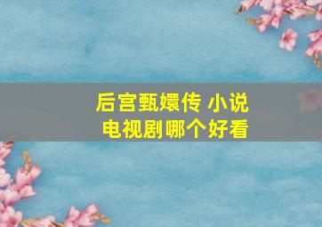 后宫甄嬛传 小说 电视剧哪个好看