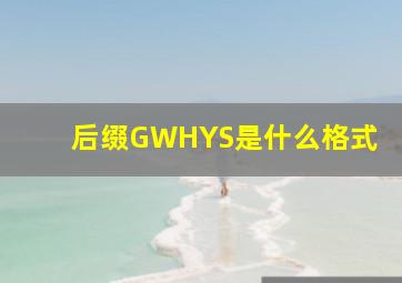 后缀GWHYS是什么格式