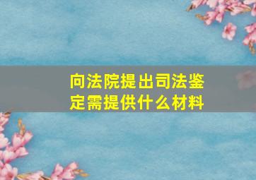 向法院提出司法鉴定需提供什么材料