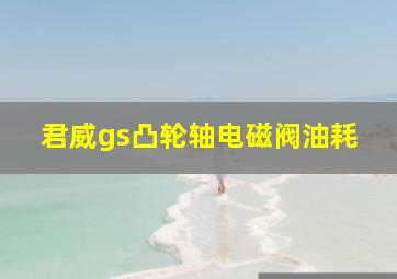 君威gs凸轮轴电磁阀油耗