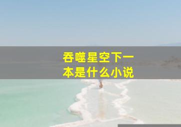 吞噬星空下一本是什么小说