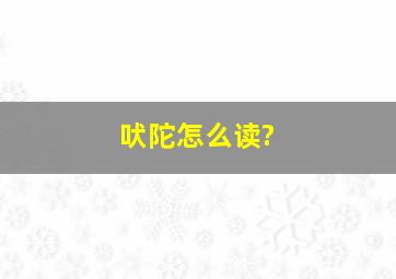 吠陀怎么读?