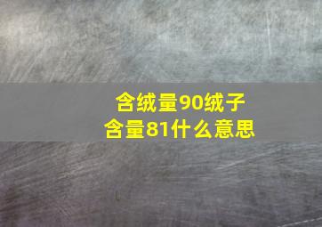 含绒量90绒子含量81什么意思