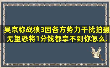 吴京称《战狼3》因各方势力干扰拍摄无望,恐将1分钱都拿不到,你怎么...