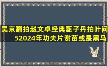 吴京翻拍赵文卓经典,甄子丹拍叶问5,2024年功夫片谢苗或是黑马...