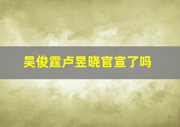 吴俊霆卢昱晓官宣了吗