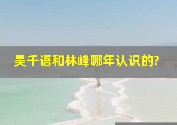 吴千语和林峰哪年认识的?