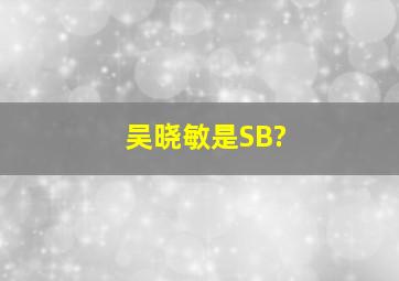 吴晓敏是SB?