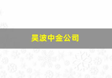 吴波中金公司