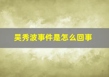 吴秀波事件是怎么回事