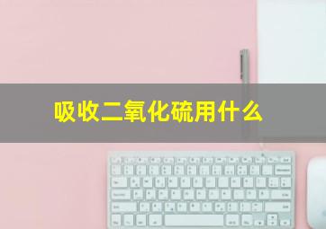 吸收二氧化硫用什么