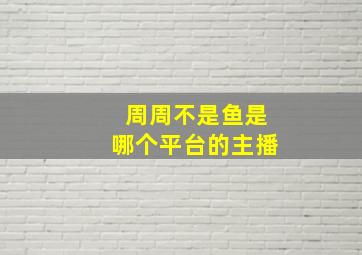 周周不是鱼是哪个平台的主播