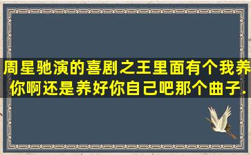 周星驰演的喜剧之王里面有个我养你啊、还是养好你自己吧。那个曲子...