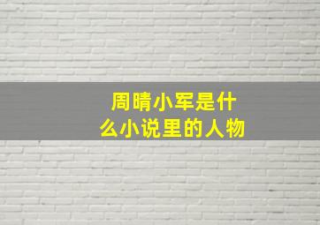 周晴小军是什么小说里的人物