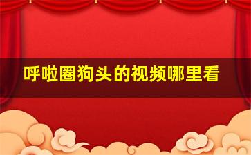 呼啦圈狗头的视频哪里看