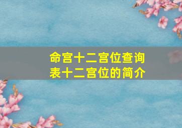 命宫十二宫位查询表,十二宫位的简介