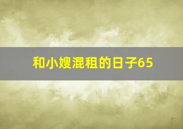 和小嫂混租的日子65