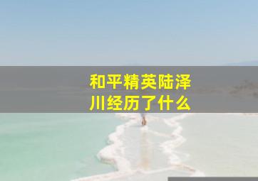 和平精英陆泽川经历了什么