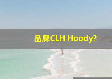 品牌CLH Hoody?