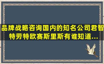 品牌战略咨询国内的知名公司君智、特劳特、欧赛斯、里斯,有谁知道...