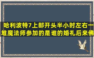 哈利波特7上部开头半小时左右一堆魔法师参加的是谁的婚礼,后来佛地...