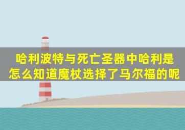 哈利波特与死亡圣器中哈利是怎么知道魔杖选择了马尔福的呢(