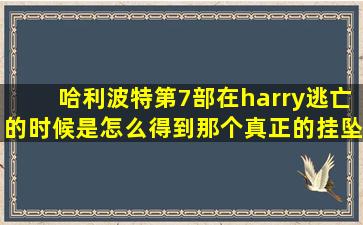 哈利波特第7部在harry逃亡的时候是怎么得到那个真正的挂坠盒的来着?