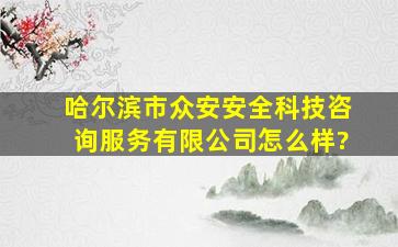 哈尔滨市众安安全科技咨询服务有限公司怎么样?