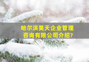 哈尔滨昊天企业管理咨询有限公司介绍?