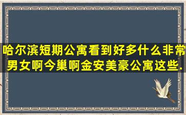 哈尔滨短期公寓看到好多什么非常男女啊今巢啊金安美豪公寓这些...