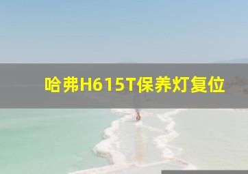 哈弗H6,1,5T保养灯复位