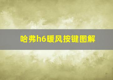 哈弗h6暖风按键图解