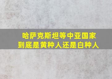 哈萨克斯坦等中亚国家到底是黄种人还是白种人