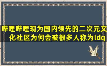 哔哩哔哩现为国内领先的二次元文化社区,为何会被很多人称为“炮姐”?